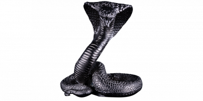 3D Snake 3 oz Silver 2025 