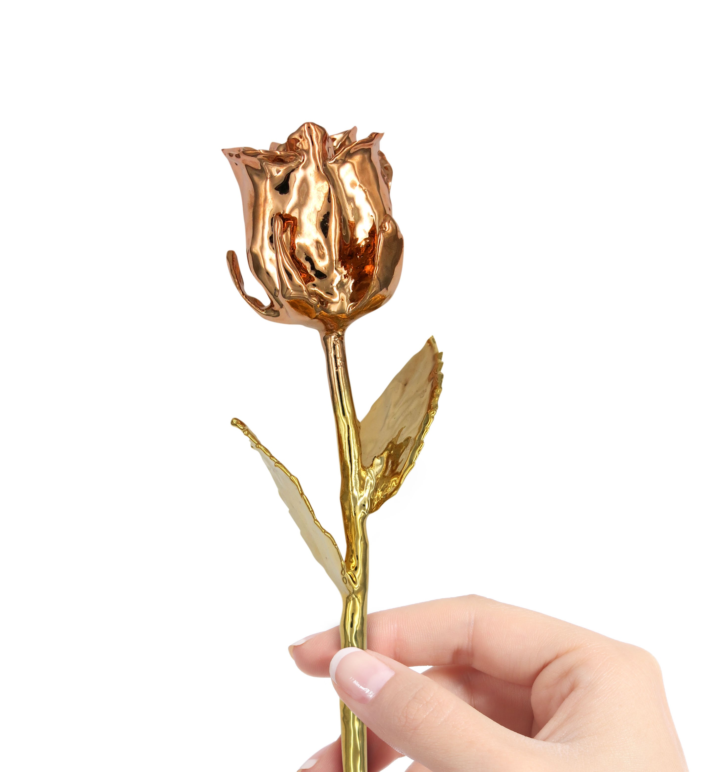Valentinsdag, som fejres 14. februar, er kendt som Valentinsdag, som fejres 14. februar, er kendt som