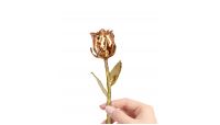 Valentinsdag, som fejres 14. februar, er kendt som 